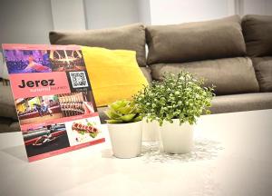 Cartujano City Center Apartment