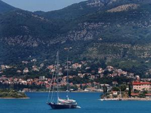 Luxury Apartment Maja