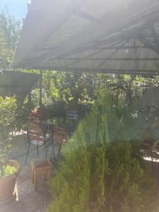 Cozy space in Tbilisi