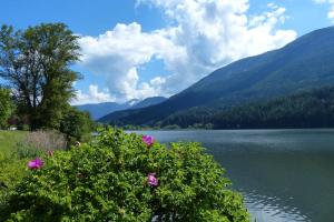 Relax e natura vicino a Trento