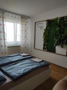 Apartamenty centrum