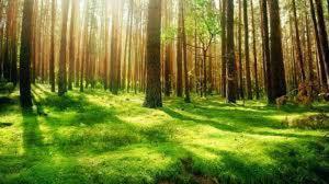 Rabbits Warren Sleeps 4 Bike-Friendly