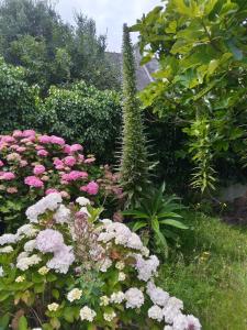 Maisons de vacances MAISON AVEC JARDIN PROCHE MER : photos des chambres