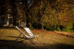 B&B / Chambres d'hotes Chateau de Charnizay : photos des chambres