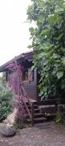 Acogedora cabaña con piscina - Ciquiril