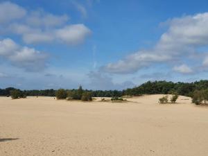 Vakantie chalet G5 - Recreation only