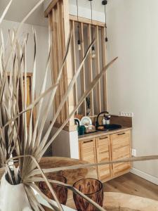 Ptcholkins apartments