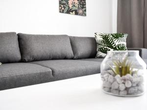 Dunasol 341 by Best Holidays Fuerteventura