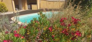 Maisons de vacances Adorable guest house with piscine : photos des chambres