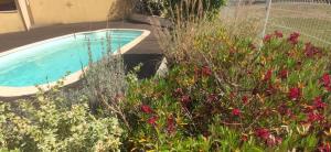 Maisons de vacances Adorable guest house with piscine : photos des chambres