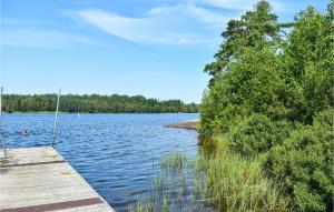 Gorgeous Home In Holmsjö With Kitchen
