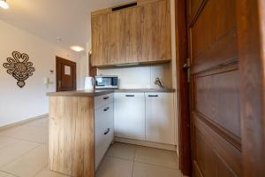 Panorama Tatr Apartament Widokowy z tarasem