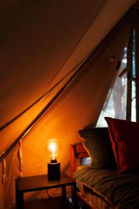 Glamping - Projekt Alpaka