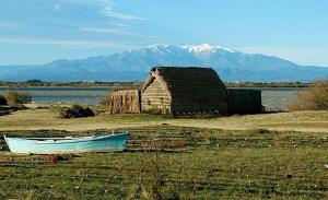 Campings Muriel Le Mar Estang : photos des chambres