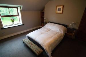 Cosy Cottage in Wild Countryside by Llys-y-Fran