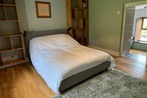 Cosy Cottage in Wild Countryside by Llys-y-Fran