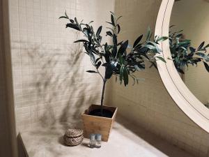 Balcon de Los Gigantes