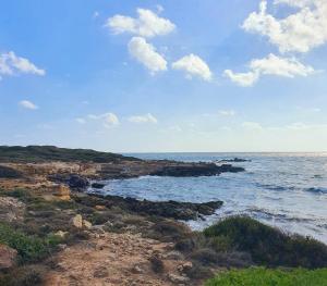 Sky and Sea Apartment Calasetta img7