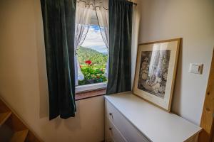 Eko Pony Ranch Ogrizek