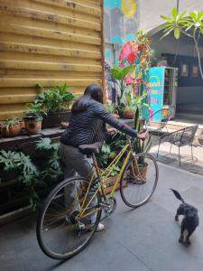Metro Hostal Boutique