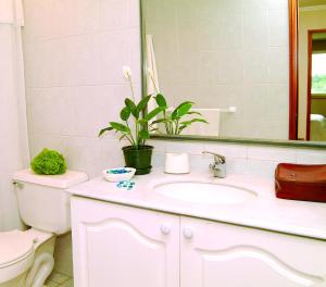 Apart Hotel Carampangue