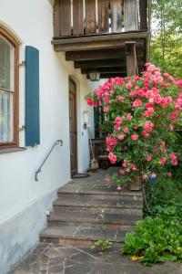 Landhauswohnung mit wildromantischem Garten