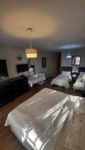 Galata Life Istanbul