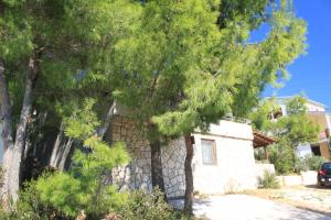 Apartments with parking space Rukavac - Vis - 2444