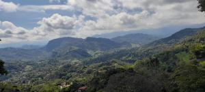 Portal del Sendero Panche