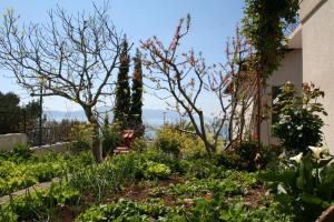 Apartments by the sea Podaca, Makarska - 2580