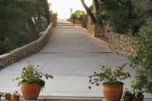 Apartment Zaostrog 2625a