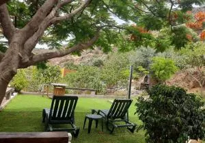 Peaceful house set on a vineyard & work friendly - Valsequillo