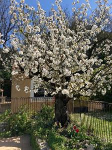 Maisons de vacances Les Hauts d'Eyragues gite Aigue Marine Meuble classe 4 etoiles : photos des chambres
