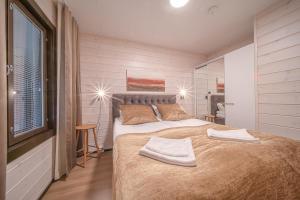 Levillas Sointuilevi 1A72, 2 ski pass included