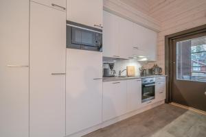 Levillas Sointuilevi 1A72, 2 ski pass included