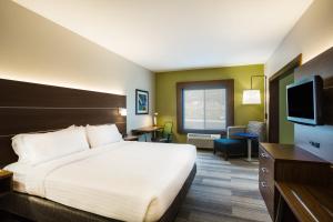 King Suite room in Holiday Inn Express Hotel & Suites Cedar City an IHG Hotel