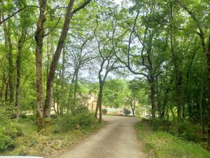 Maisons de vacances Gite LES CHENES - DOMAINE DE CABAN : photos des chambres