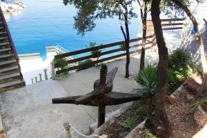 Seaside secluded apartments Cove Pobij, Hvar - 9704