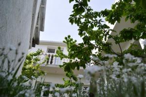 Apartments with swimming pool Gizdavac, Zagora - 12053