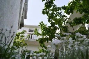Apartments with a swimming pool Gizdavac, Zagora - 12053 - Gizdavac