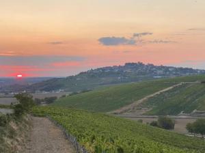 Maisons de vacances Villa au coeur des vignes de Chavignol : photos des chambres