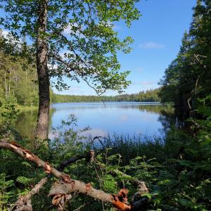Cabin near lake and beautiful nature reserve.