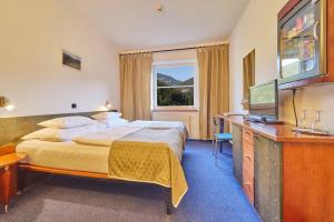 Special Offer - Double Room with Wellness Package room in Hotel Horizont