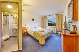 Special Offer - Superior Double Room with Wellness Package room in Hotel Horizont