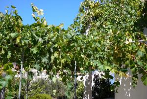 Apartment Postira 2919a