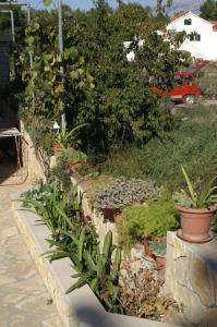 Apartment Mirca 2838b