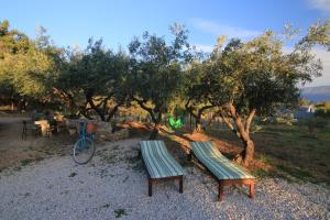 Holiday house with a parking space Bol, Brac - 2894