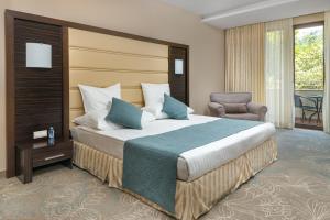 Deluxe Double Room with Free SPA Access room in Pirin Park Hotel