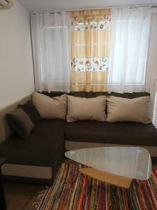 Studio Rayskata yabalka