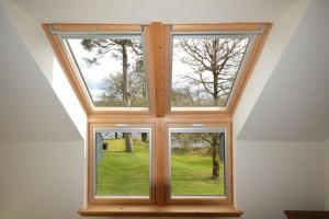 Tall Pines Apartment